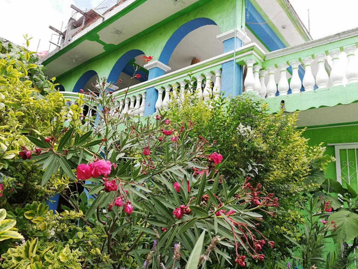 Iguana Hostel San Cristóbal de Las Casas Exterior foto